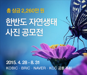 ���� ���� �Դϴ�.